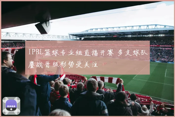 IPBL篮球专业组直播开赛 多支球队鏖战晋级形势受关注