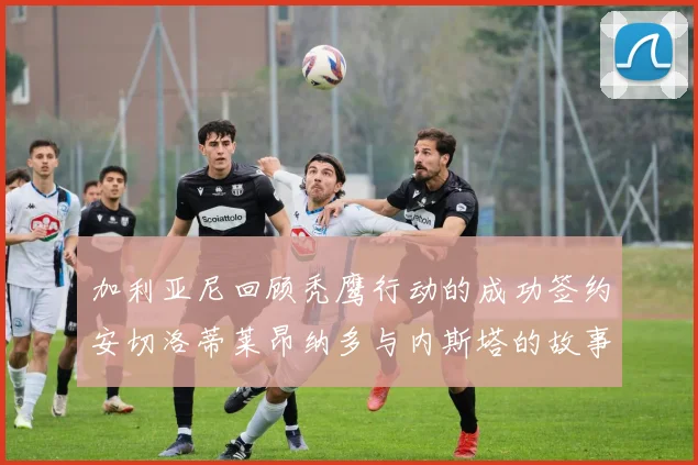 加利亚尼回顾秃鹰行动的成功签约安切洛蒂莱昂纳多与内斯塔的故事