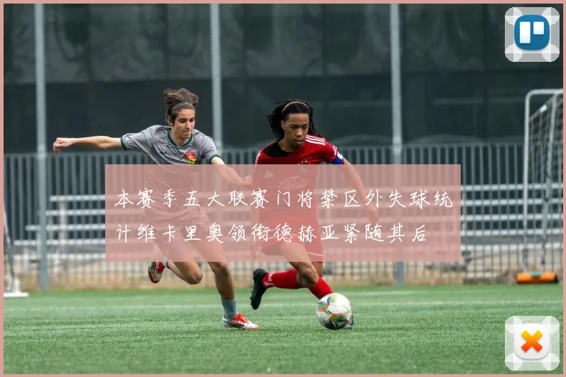 本赛季五大联赛门将禁区外失球统计维卡里奥领衔德赫亚紧随其后